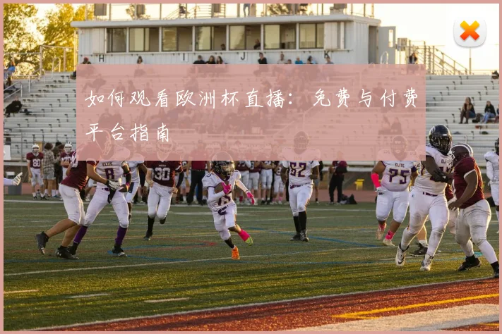 如何观看欧洲杯直播:免费与付费平台指南