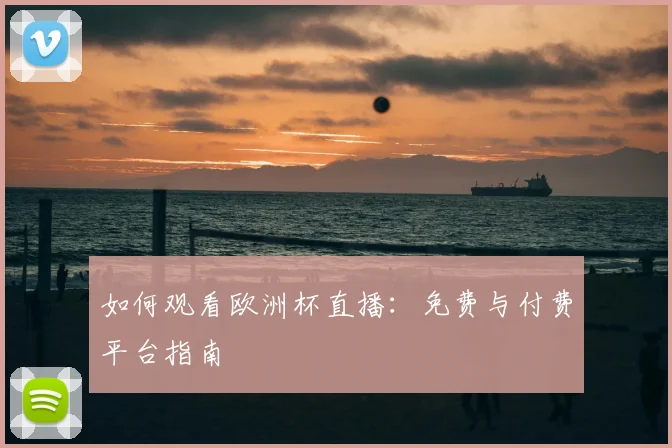 如何观看欧洲杯直播：免费与付费平台指南